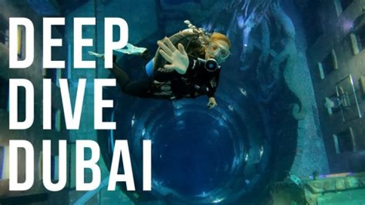 Dive Into The World Of Melissa Canaday: Uncovering Insights And Discoveries
