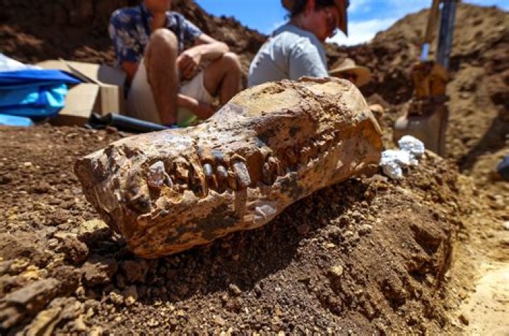 Unveiling Noah Wiseman's Age: Discoveries And Insights
