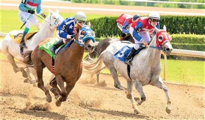 Unveiling The Secrets Of Horse Racing With Kerry Kollmar